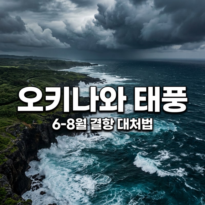 오키나와 태풍 시기 및 결항 대처법! 6월 7월 8월 실시간 현황 총정리