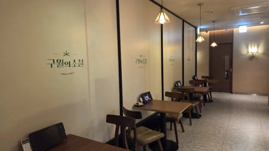 구월의 소철 사진 5