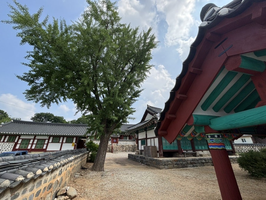 오늘도단풍 사진 2