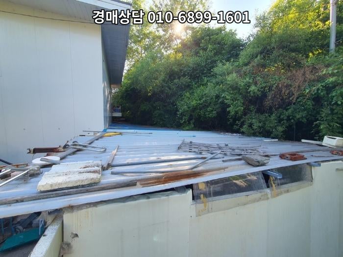 금옥 사진 5