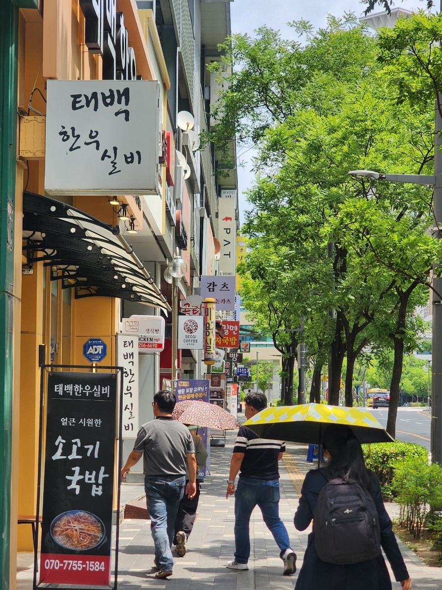 태백한우실비 사진 2