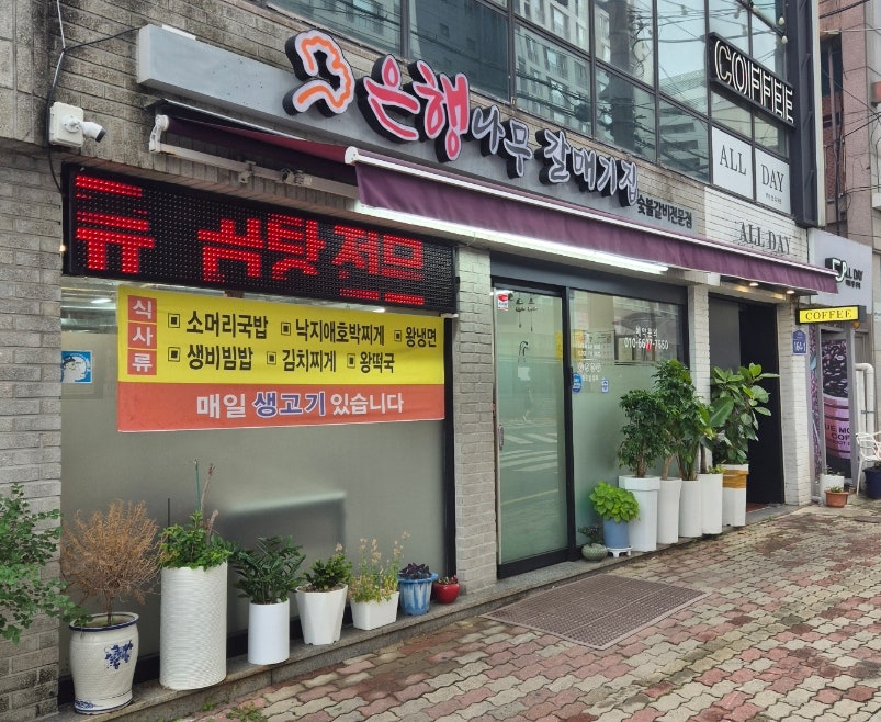 은행나무갈매기 광주효천점 사진 1
