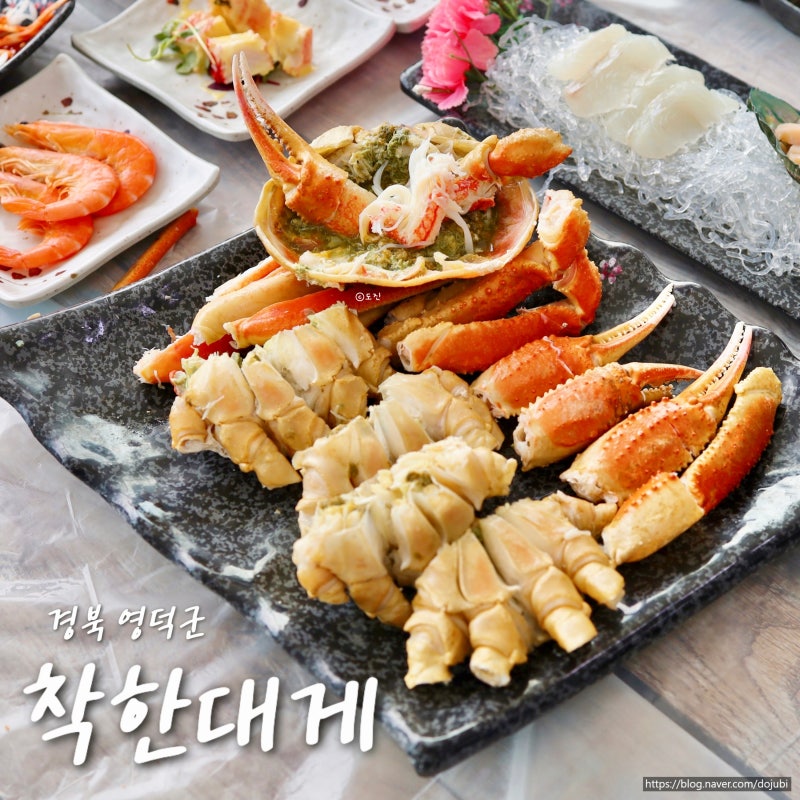 영덕 대게 맛집 착한대게 강구항 대게거리 코스요리 후기