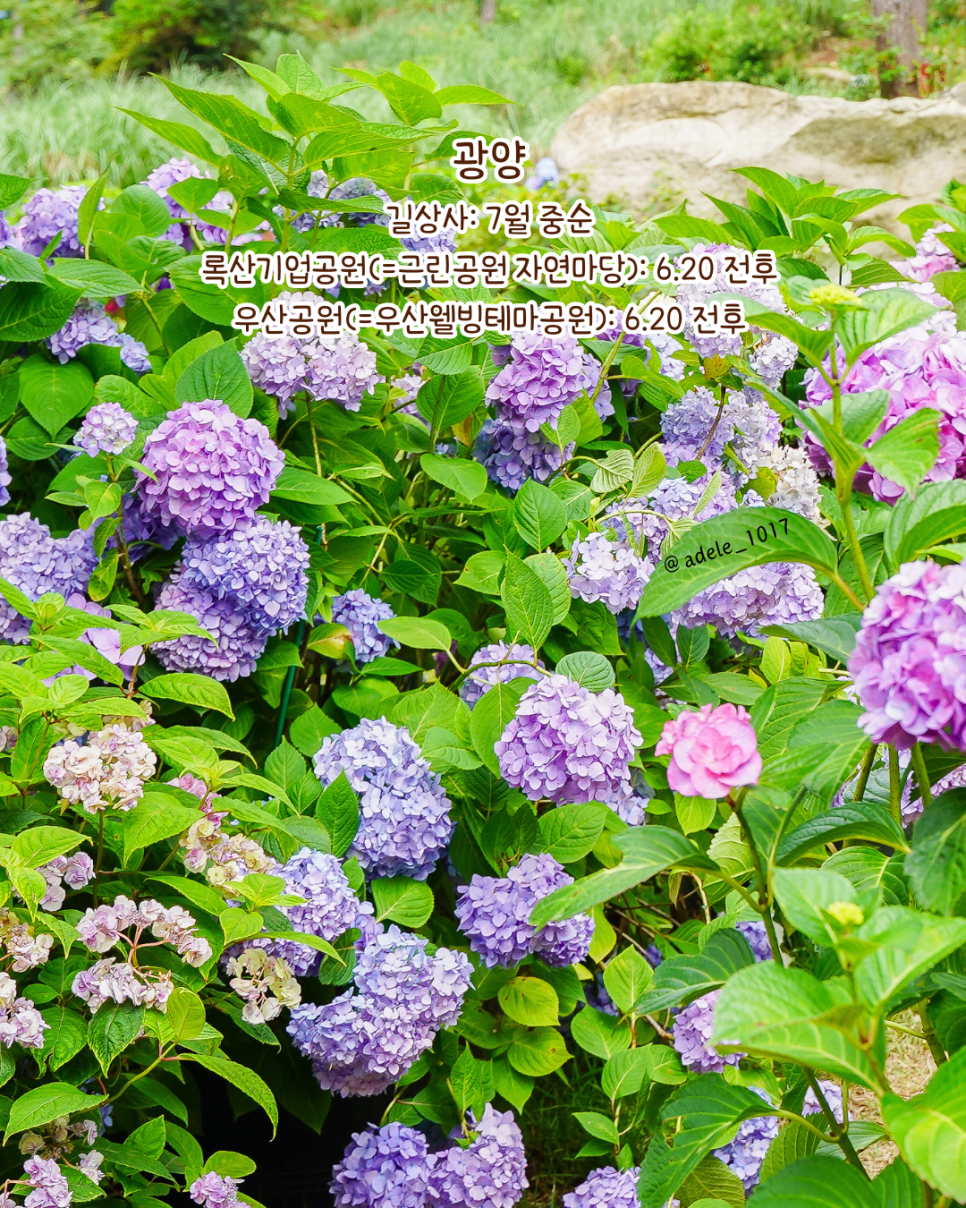 작은숲 사진 5