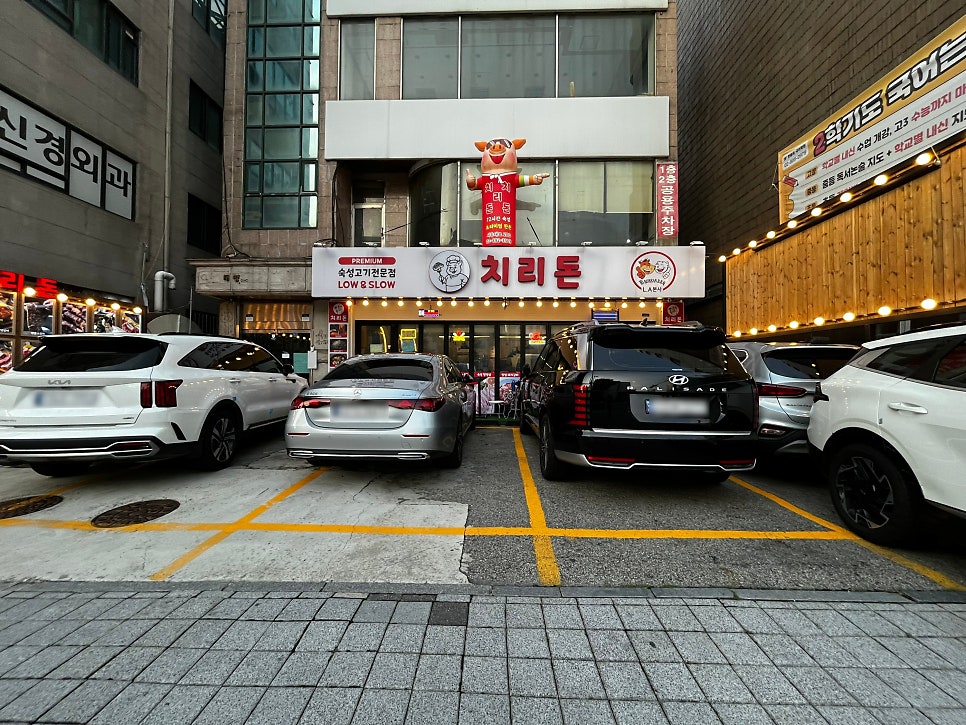 치리돈 사진 5