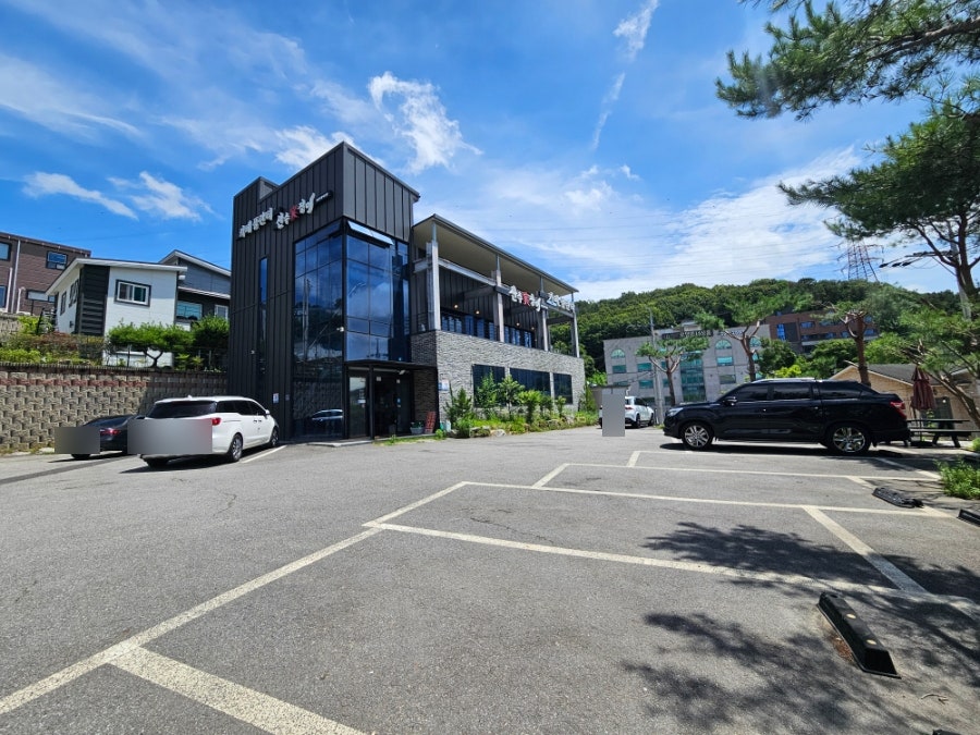 산수가장어 사진 3