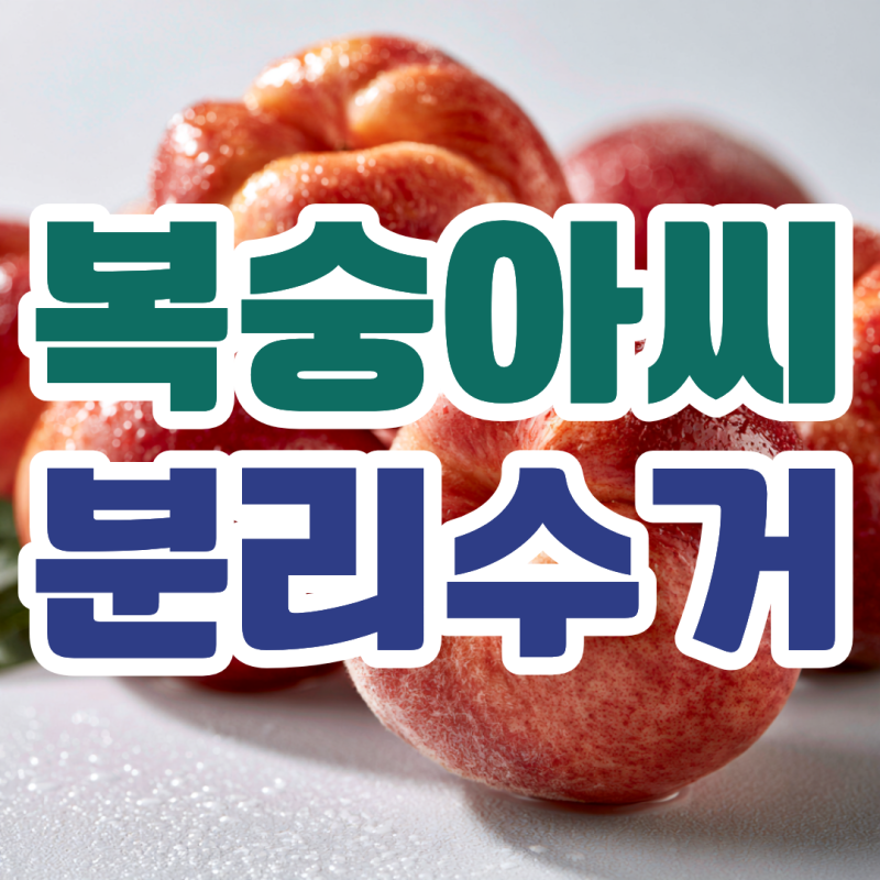 복숭아씨 분리수거 씨앗 껍질 버리는법
