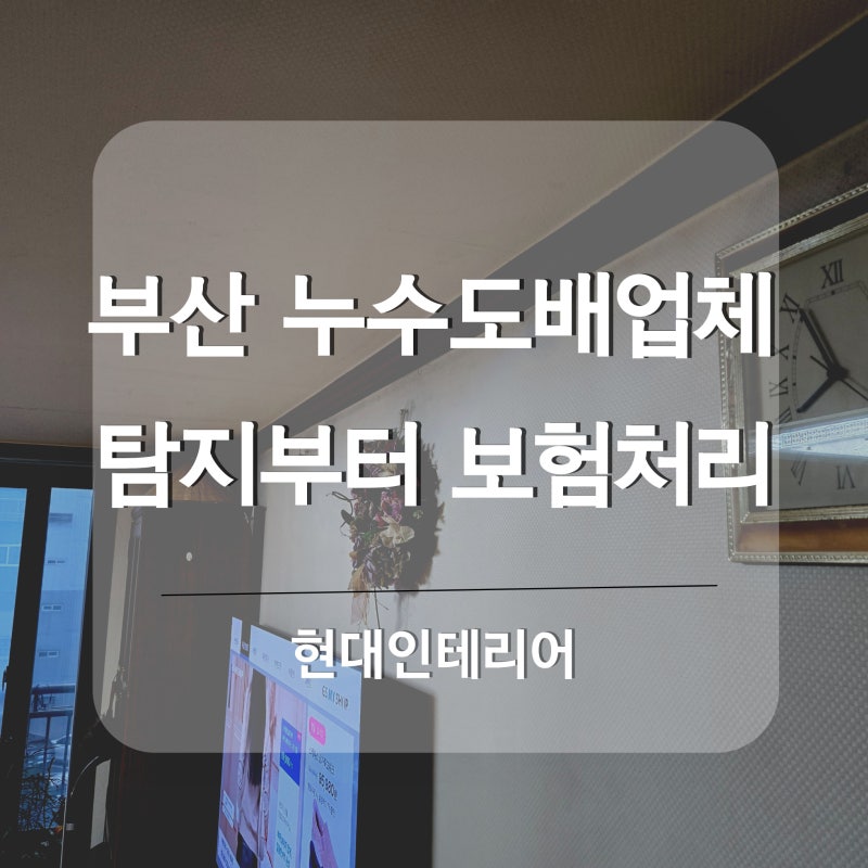 부산 누수도배업체, 누수탐지와 보험처리까지 함께 진행