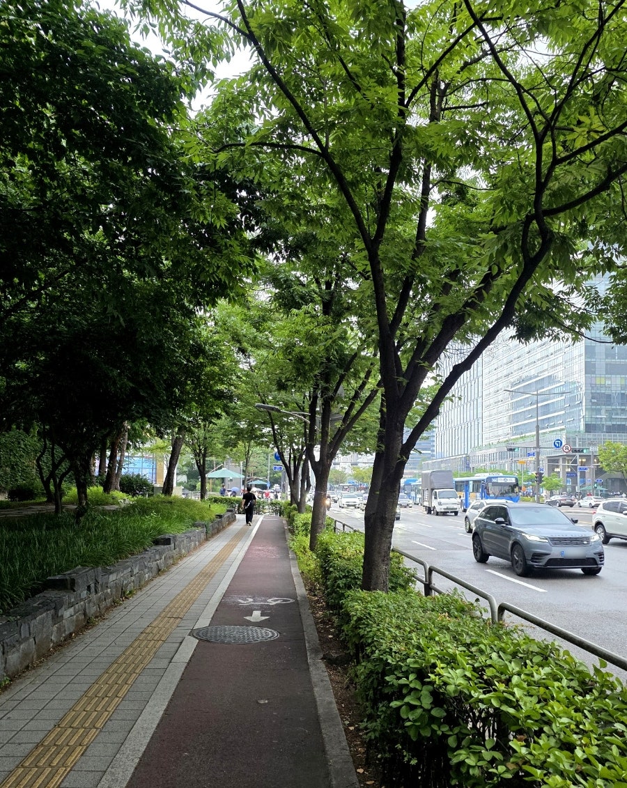 금바위감자탕 가락본점 사진 2