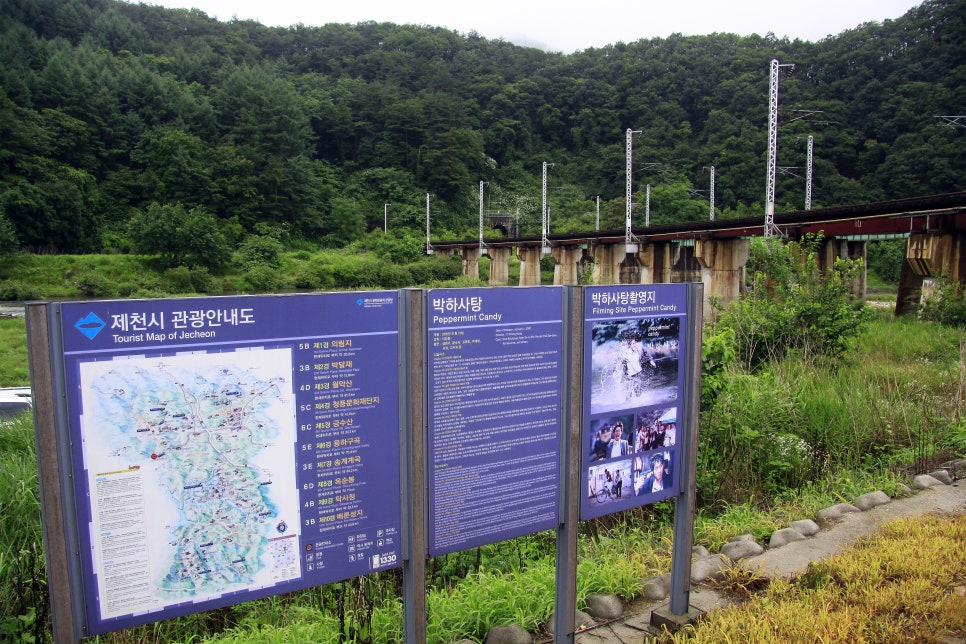 박하사탕 사진 4