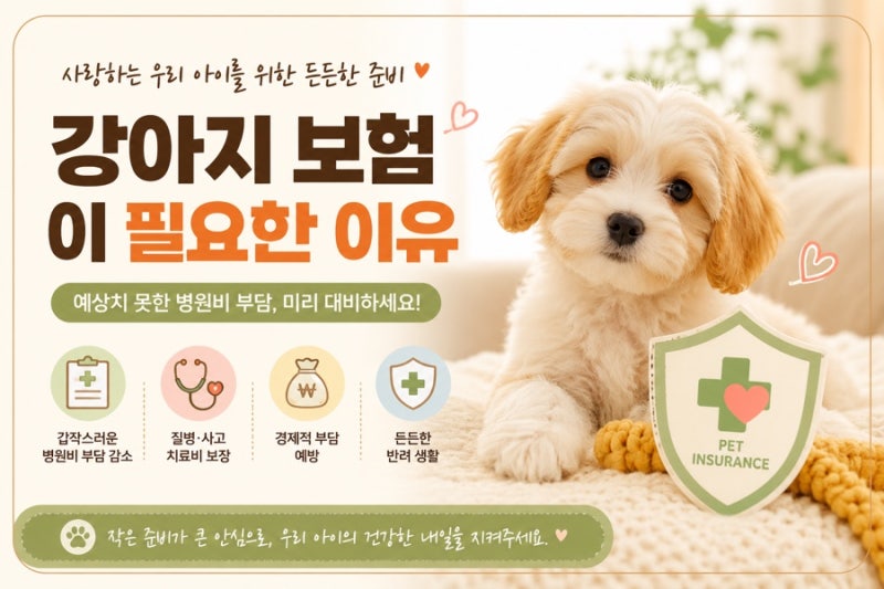 강아지 보험 꼭 필요할까? 가입 전 꼭 알아야 할 이유 7가지
