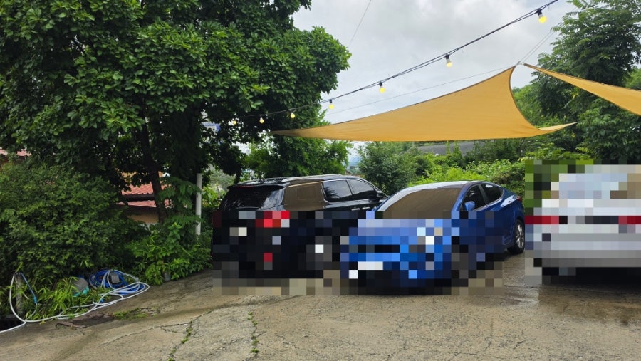 구화산민물장어 사진 2