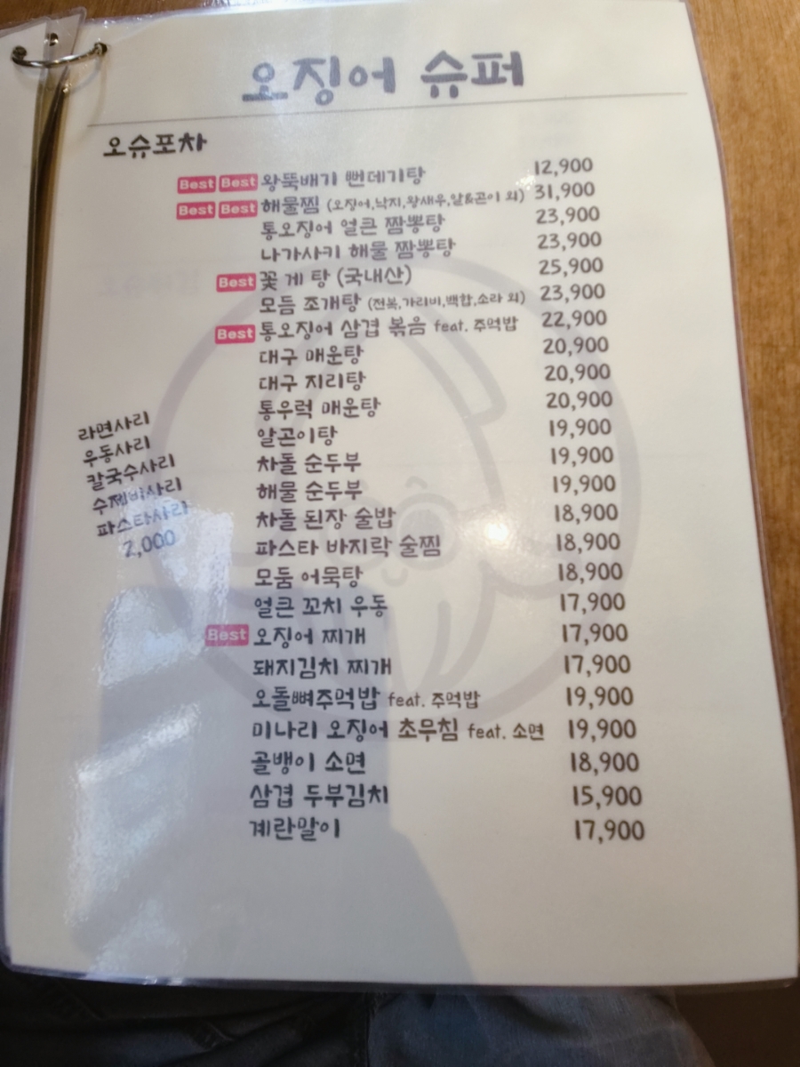 날으는회산오징어 사진 5