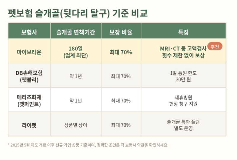 코코 뒷다리 탈구 때문에 펫보험 알아봤어요 (feat. 마이브라운펫보험)
