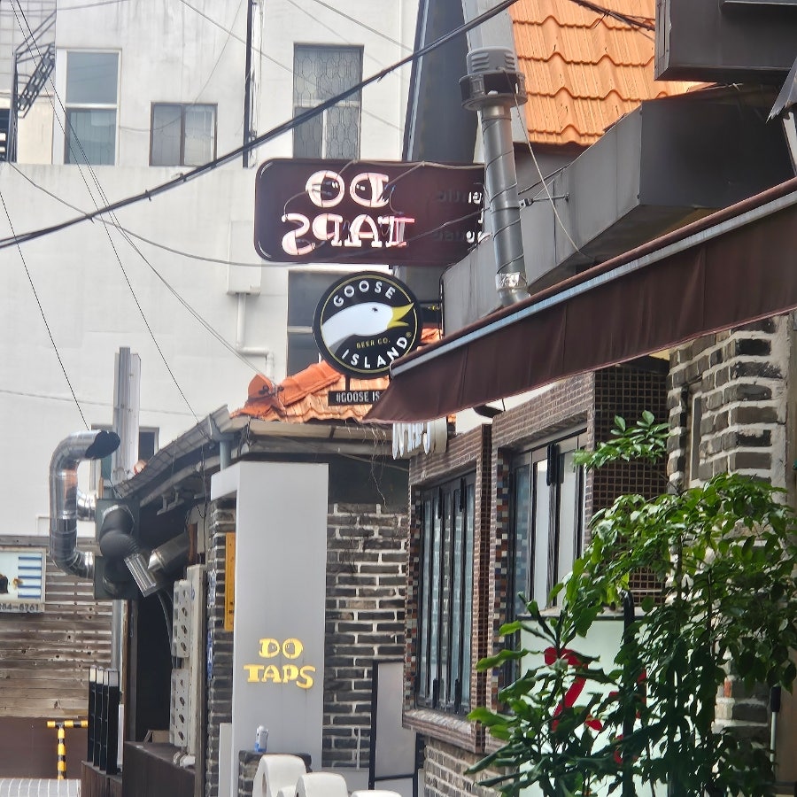 두탭스 사진 1