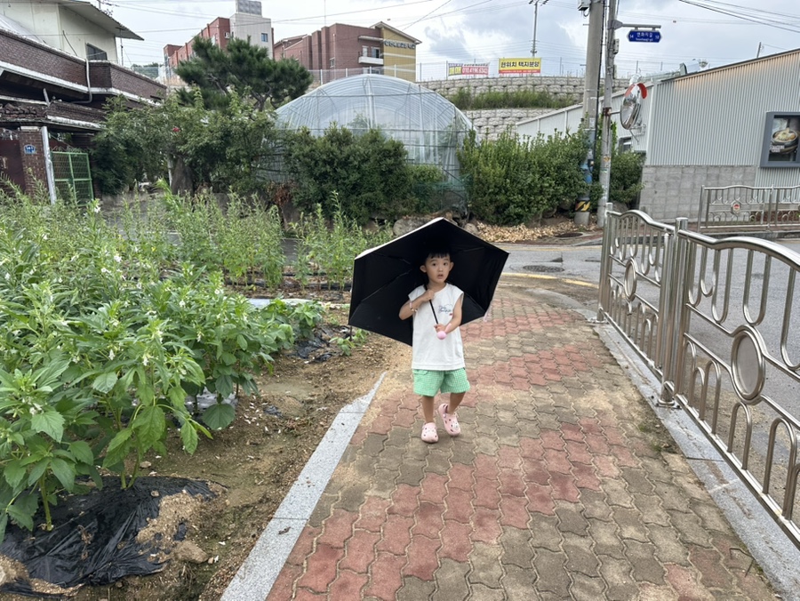 오늘참예쁘다 사진 4