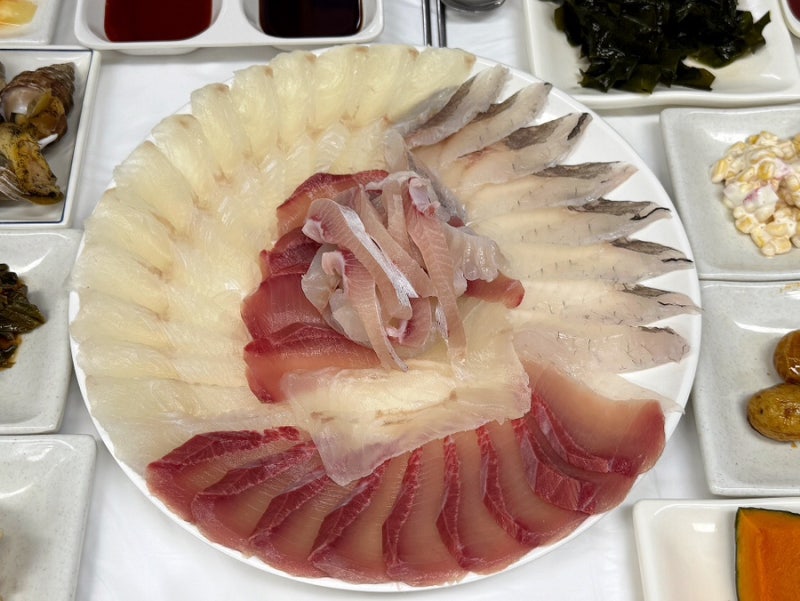 장호항 맛집 삼척 장호해수욕장 성덕호횟집 내돈내산