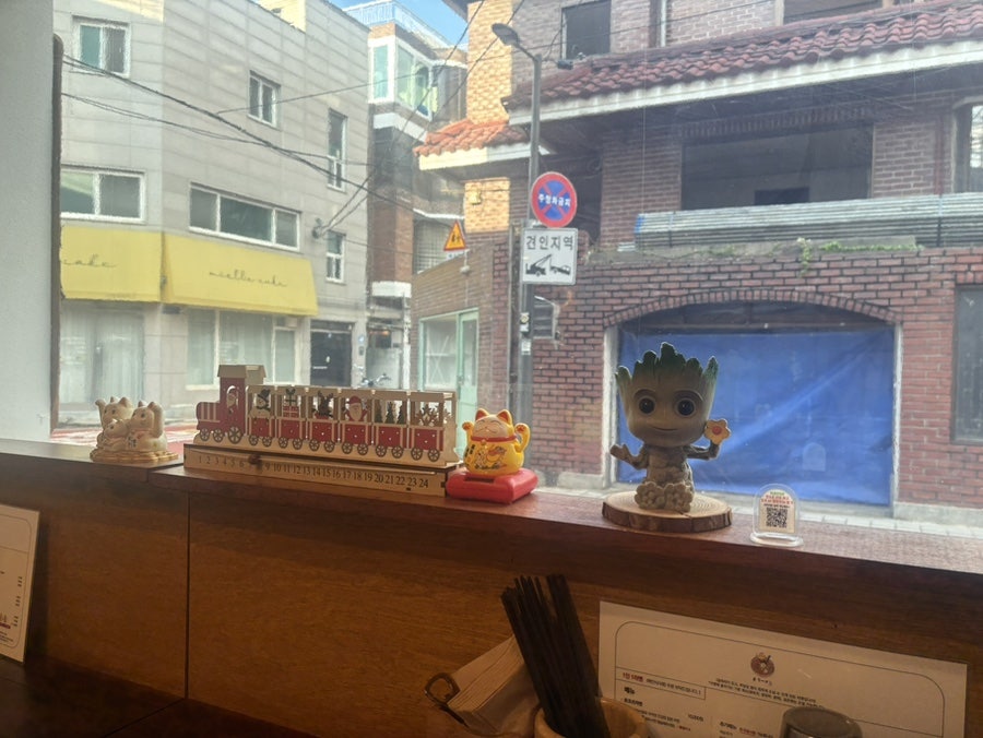 호시 사진 4