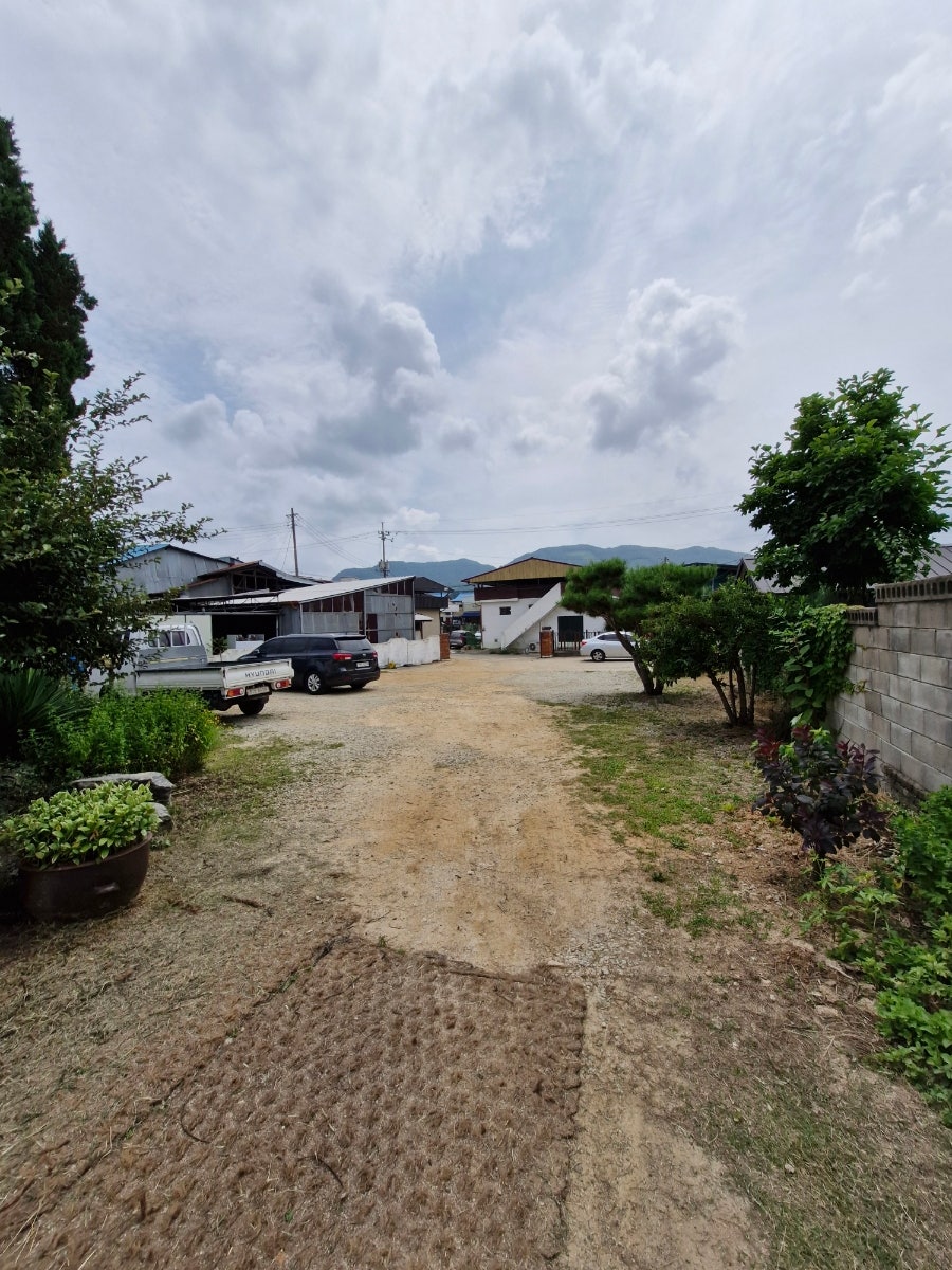 Bueok photo 2