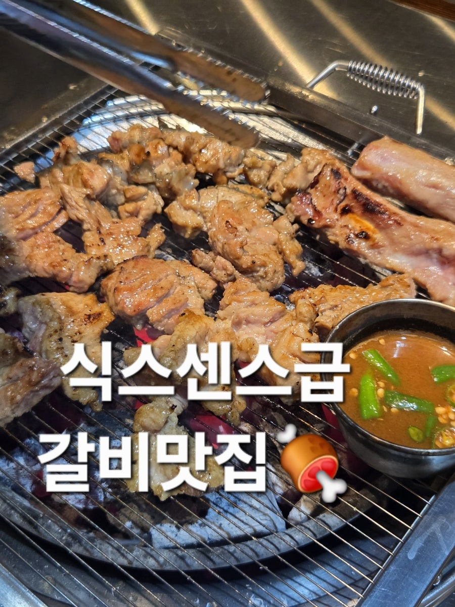 똘래미 사진 1