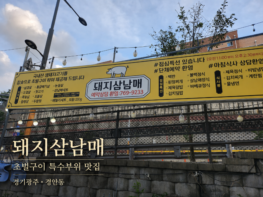 돼지삼남매 사진 2