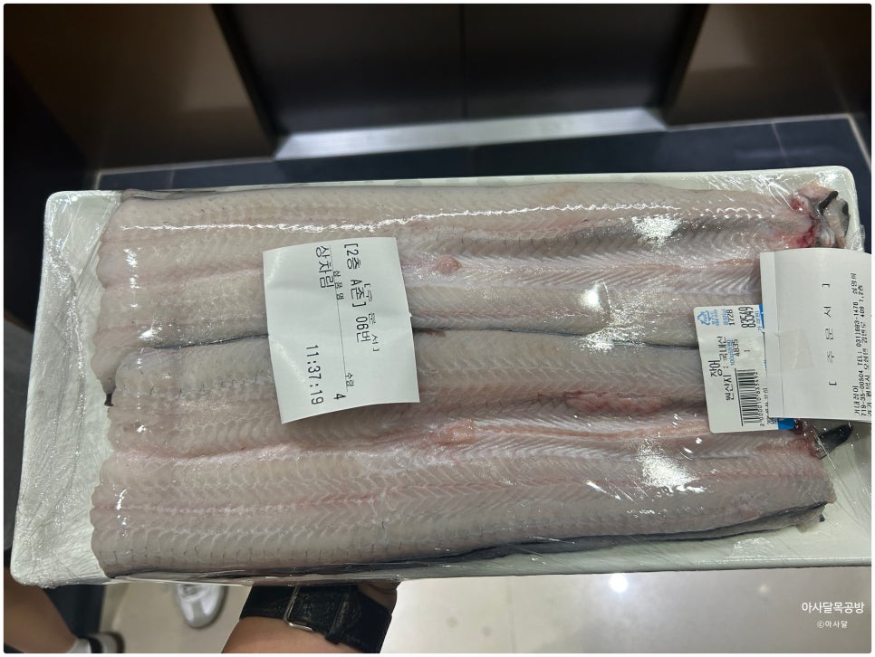 백두수산 거대장어 사진 5