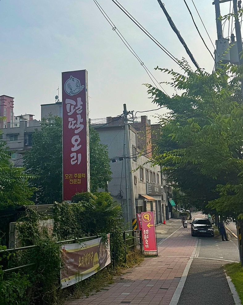 팔딱오리 사진 1