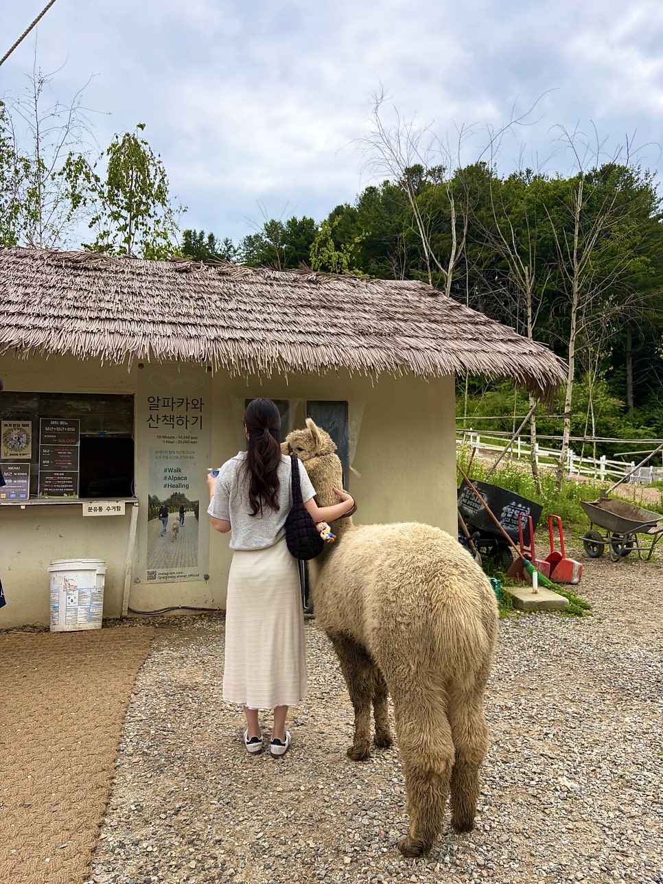 도선재 사진 2