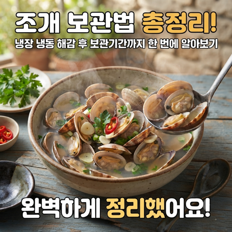 조개 보관법 총정리! 냉장 냉동 해감 후 보관기간까지 한 번에 알아보기