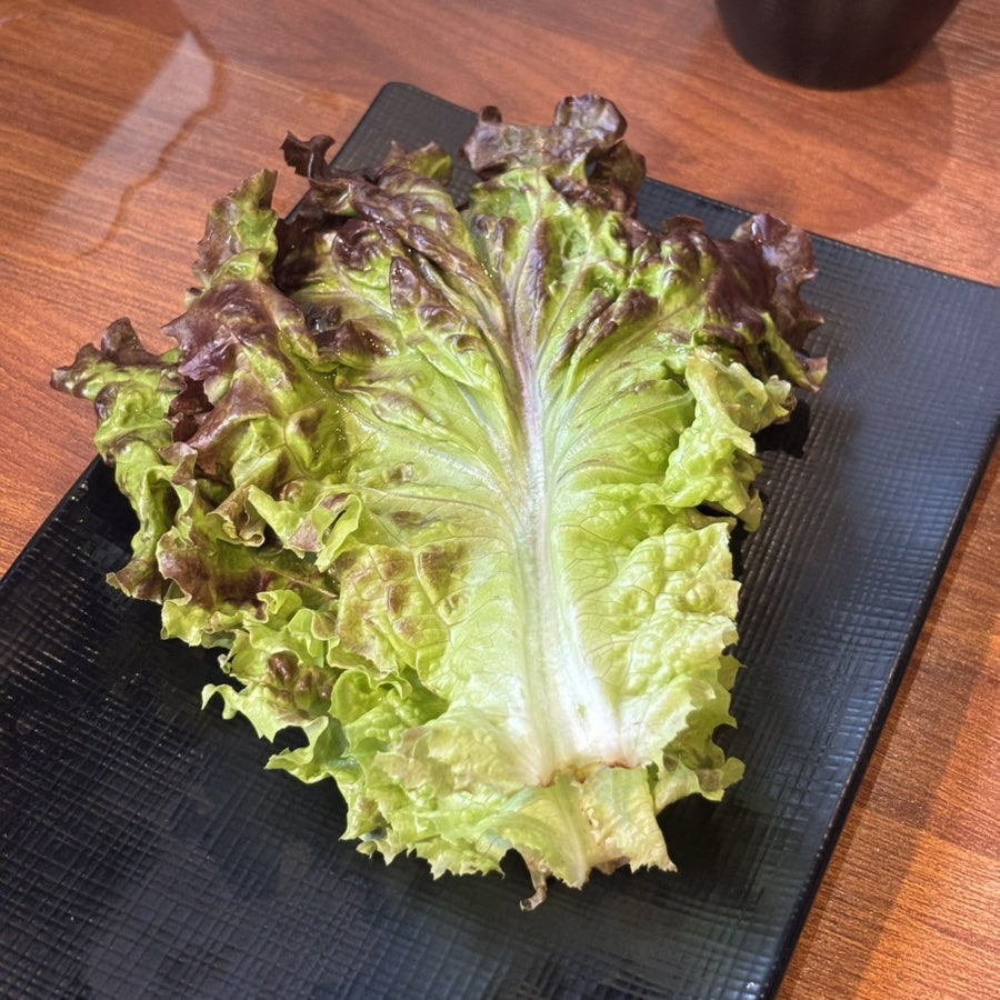 소양강변길 사진 5