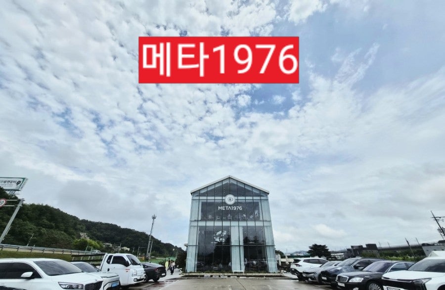 메타1976 사진 1