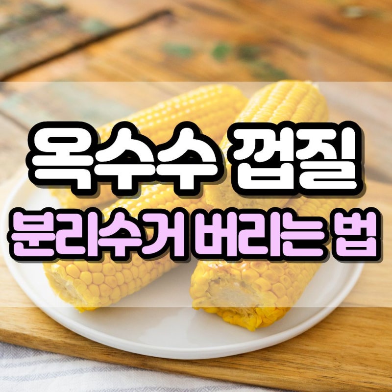 헷갈리는 옥수수 껍질 쓰레기 분리수거 버리는 방법