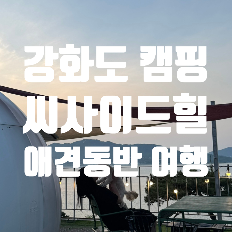 씨사이드힐캠핑장 사진 1