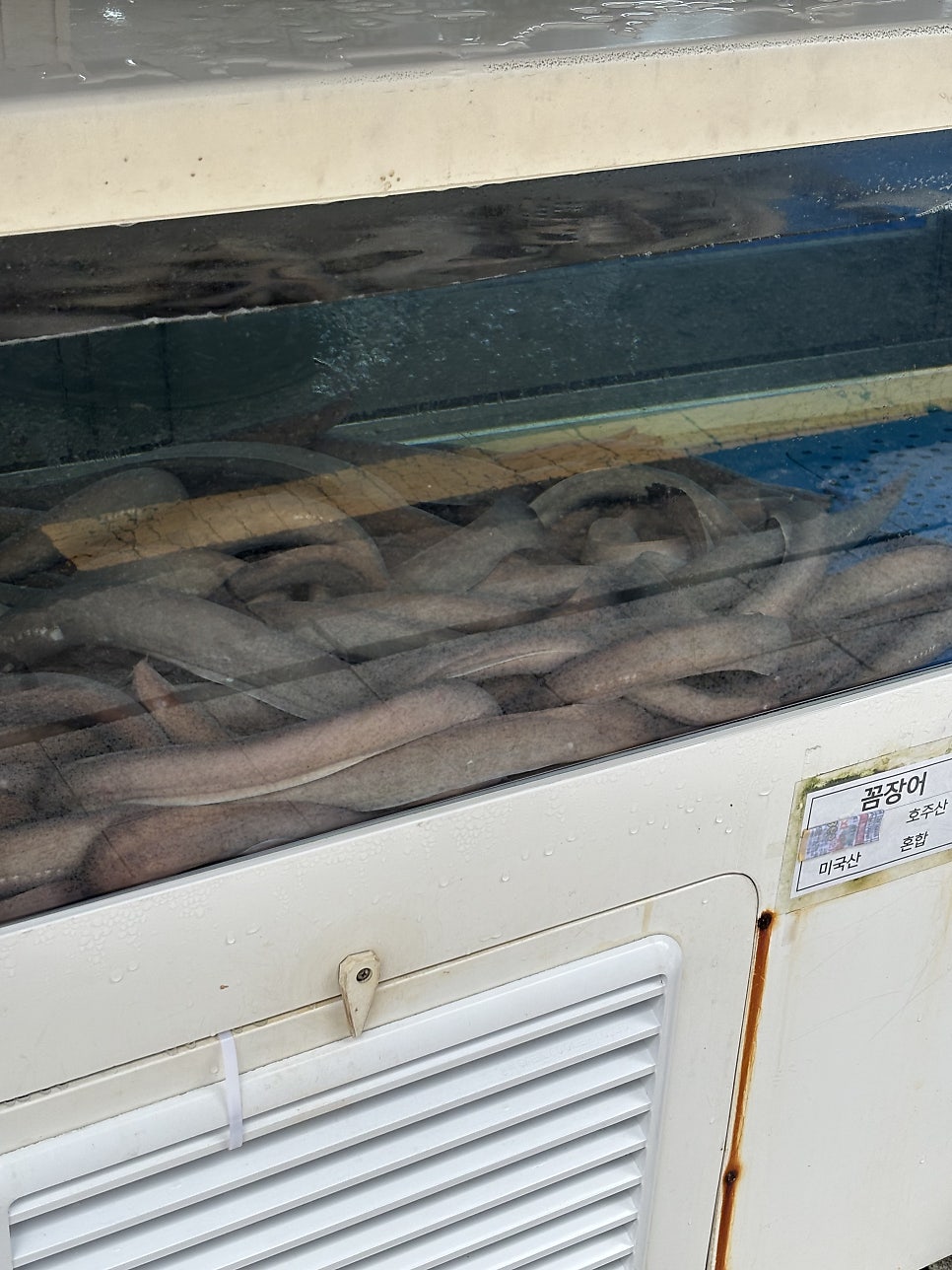 어부의딸 본점 사진 3