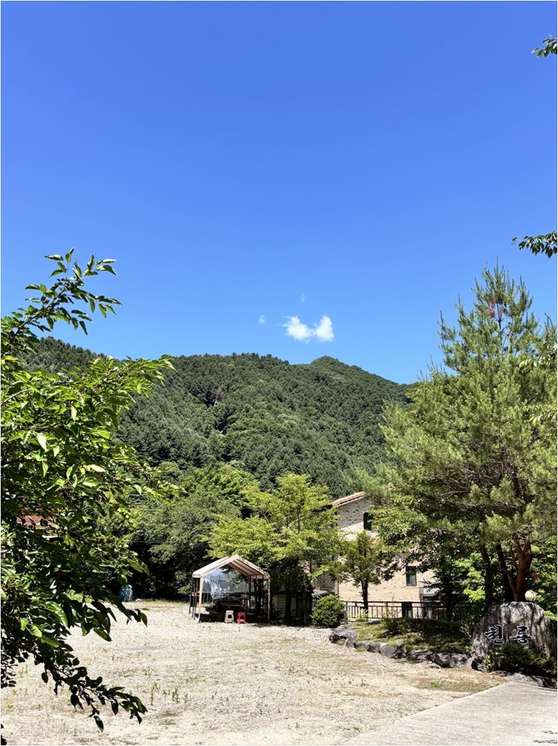 오늘은봄날 사진 3