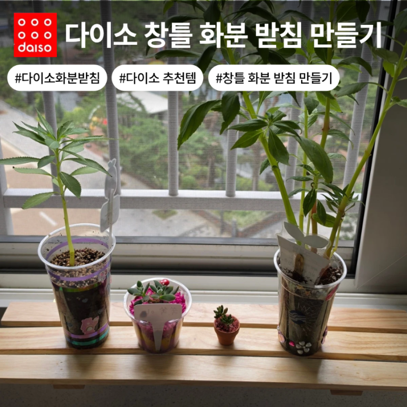 다이소 꿀템 단돈 6천원으로 초간단 베란다 창틀 화분 받침 만들기