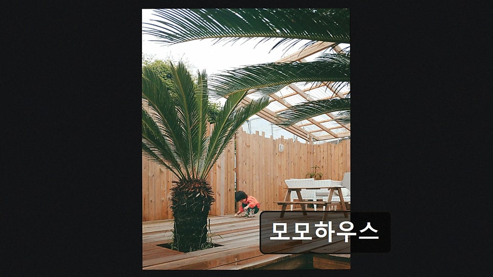 모모하우스 사진 4