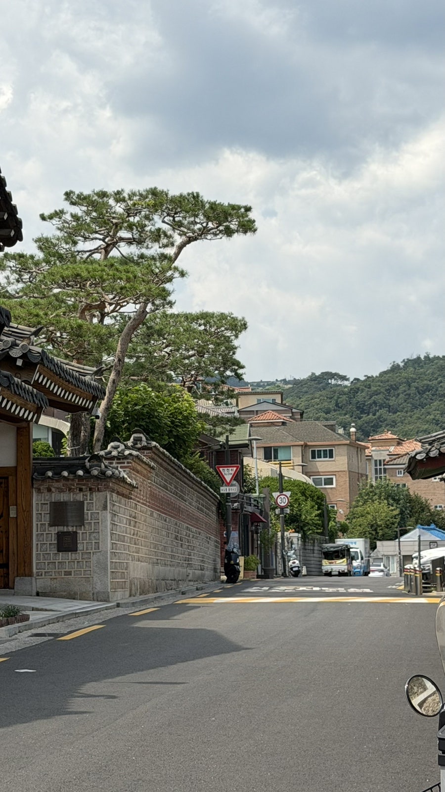 데비스 사진 4