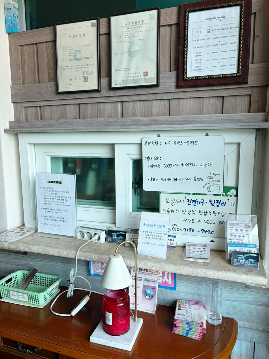 엘리시안강촌 캠핑파크 사진 6