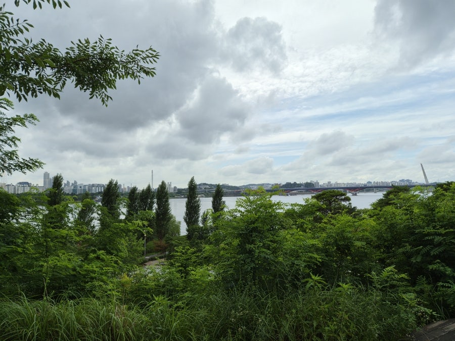 원당국수잘하는집 사진 4