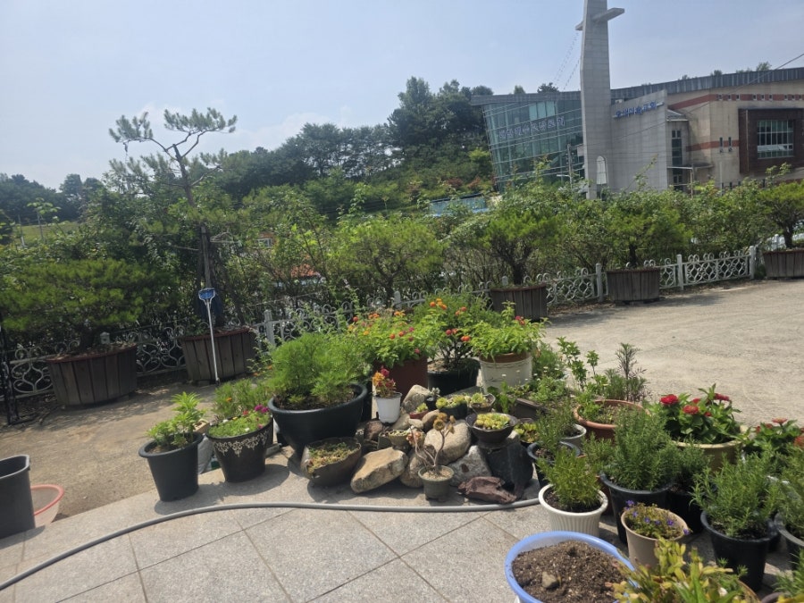카페181 사진 2
