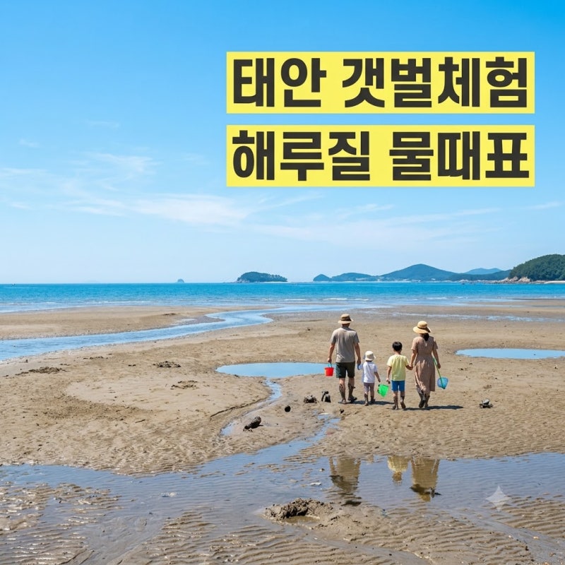 서해 물때표 보는법 태안 바다 태안 해루질 체험 갯벌체험 준비물