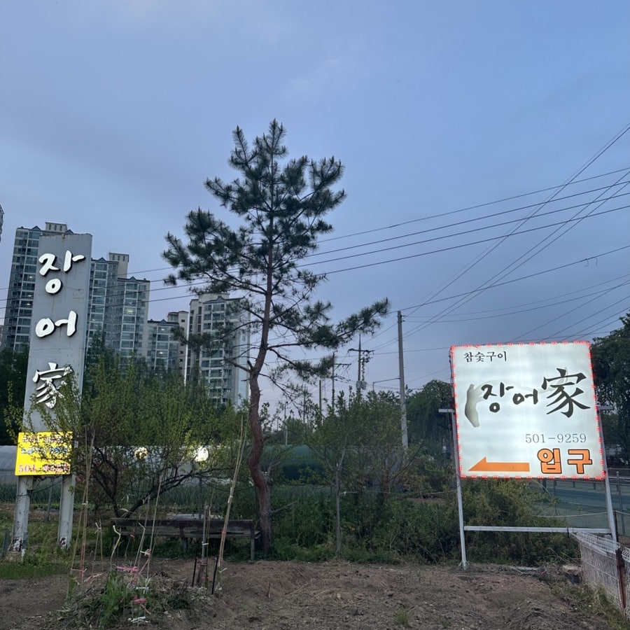 반월장어가 사진 2