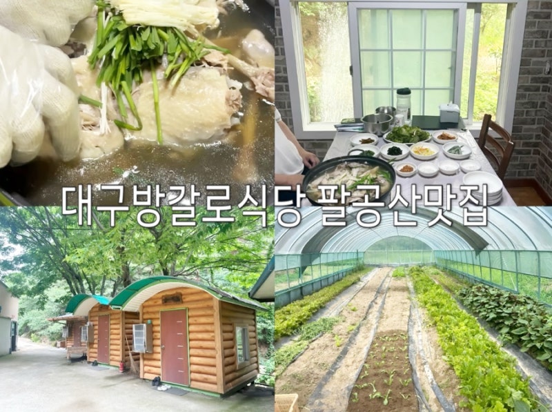 대구방갈로식당 팔공산맛집, 애견동반되는 산속비봉식당에서 즐긴 촌닭백숙
