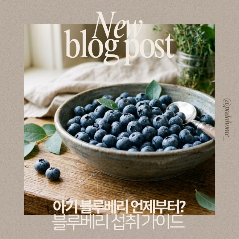 아기 블루베리 언제부터? 권장량과 주의사항