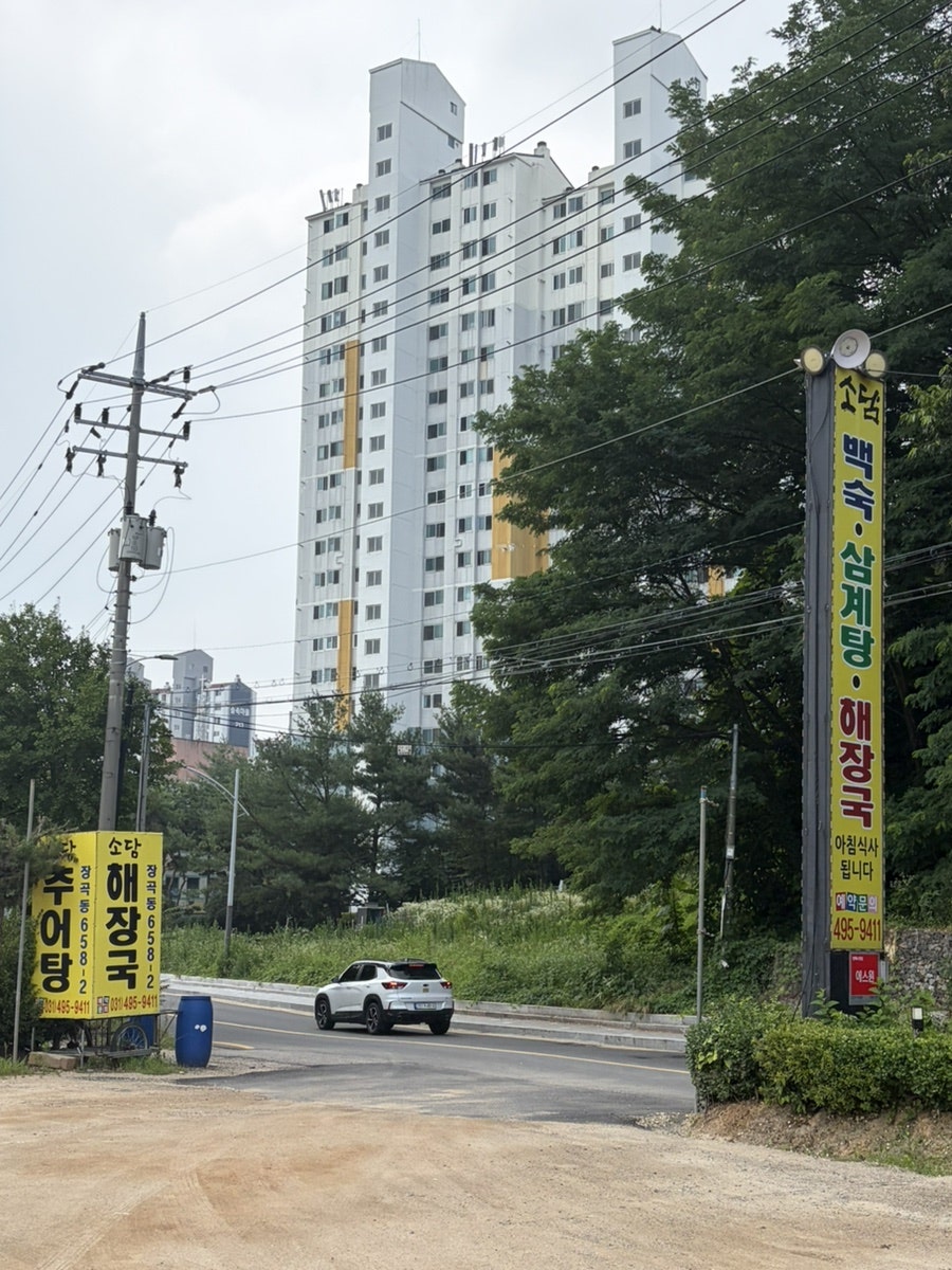소담 사진 2