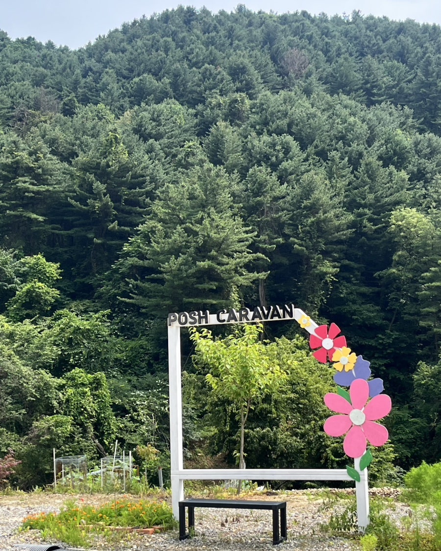 포쉬카라반 사진 4