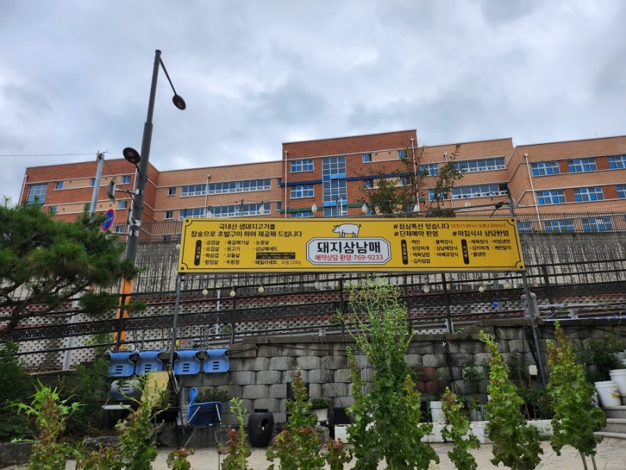 돼지삼남매 사진 5