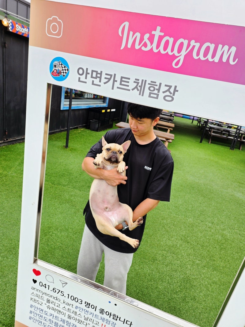 태안 안면도 가볼만한곳 안면카트체험장 면허 없어도 가능 안면도카트장 애견동반가능
