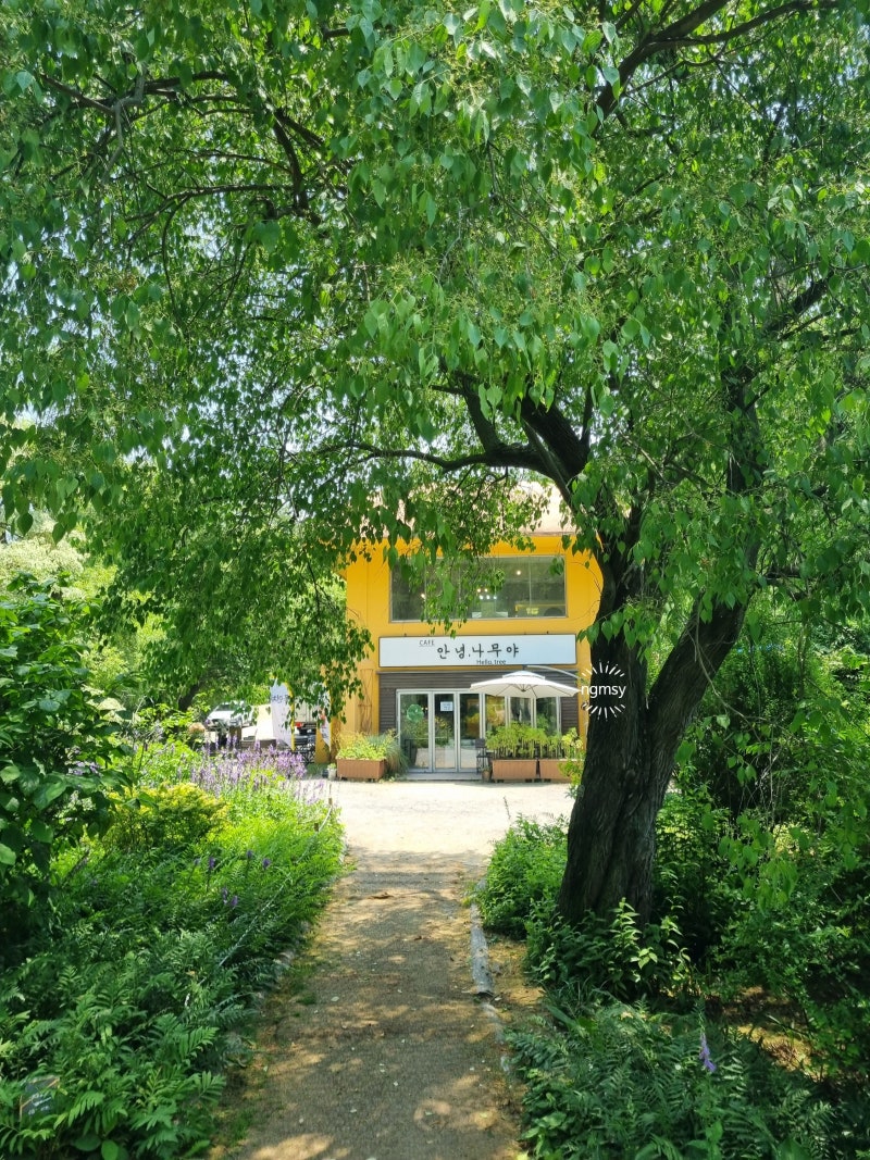 충남 태안 가볼 만한 곳 '천리포 수목원' 태안 수목원 태안여행 볼거리